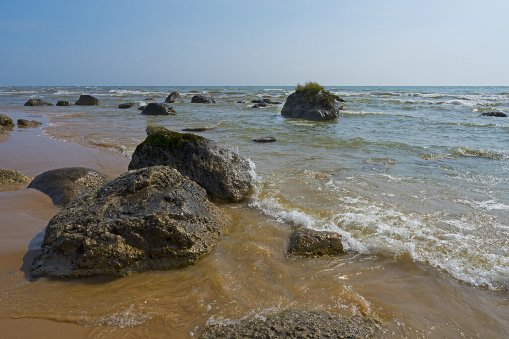 Birch Point Shoreline – Lake Michigan