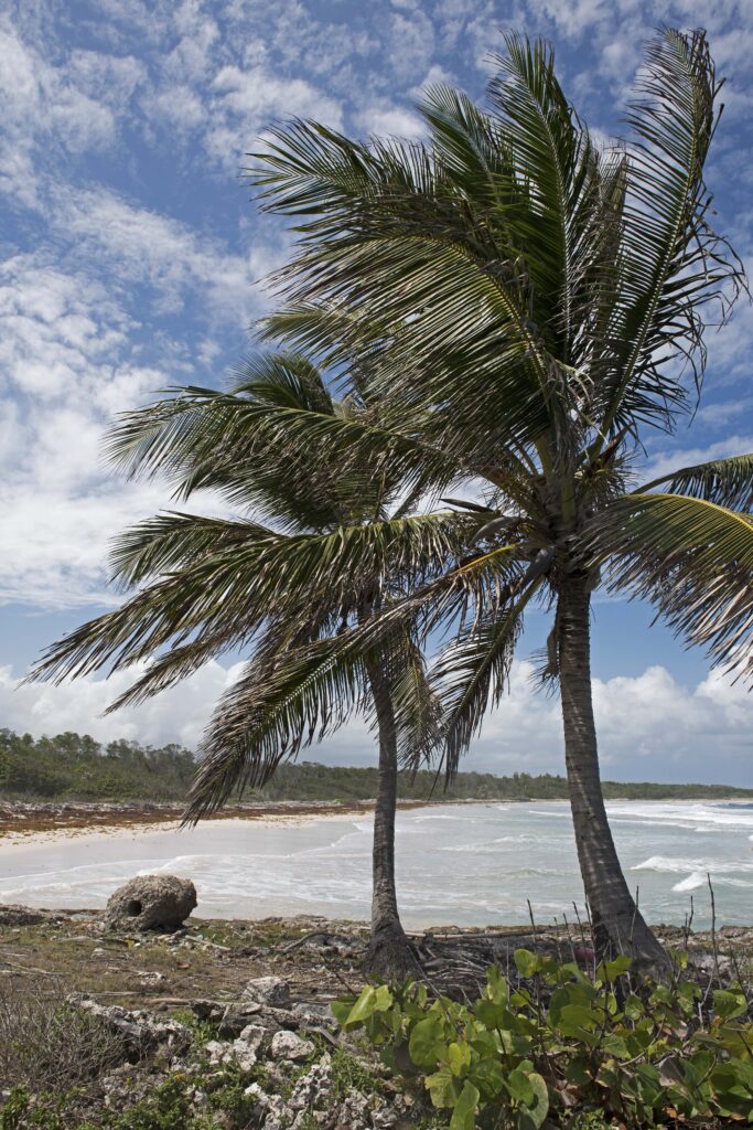 Morant Point (Jamaica)