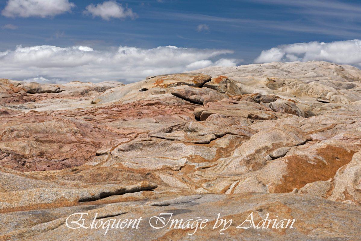 Cape Columbine Nat Res – Paternoster (South Africa)