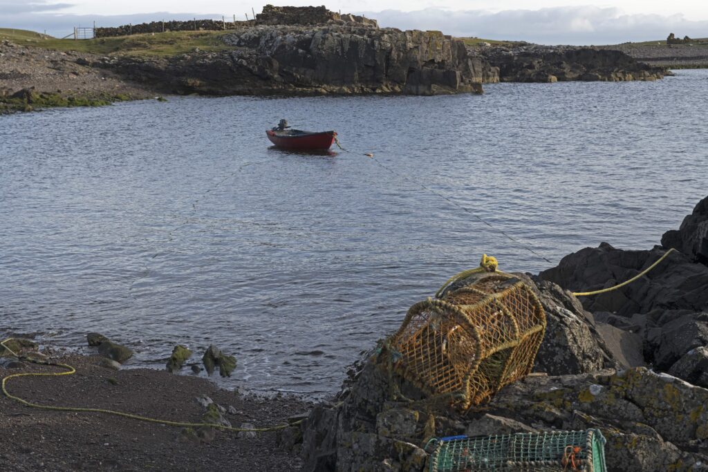 Stenness (Shetland Isles)