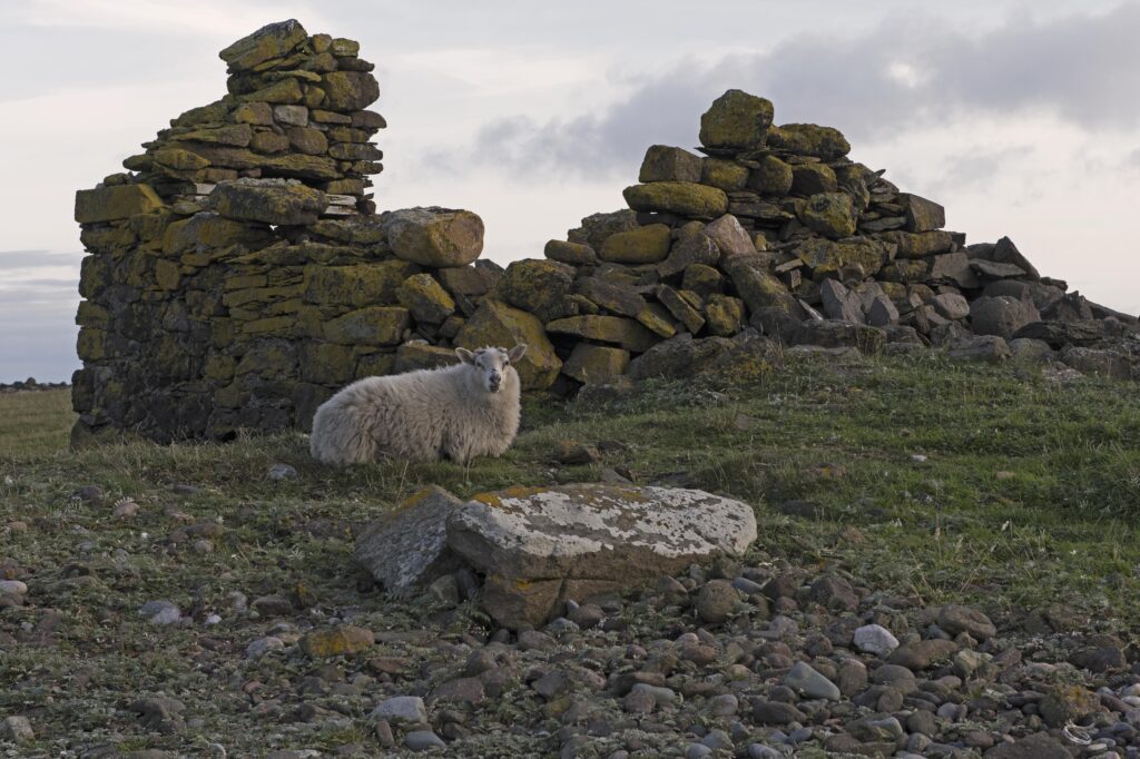 Stenness (Shetland Isles)