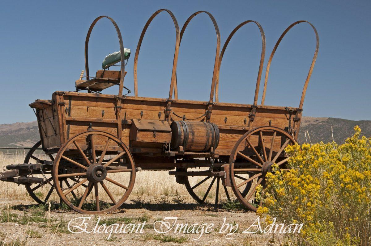Wagon (ID)