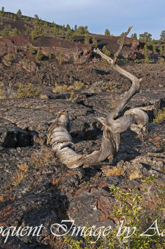 Craters of the Moon (ID)