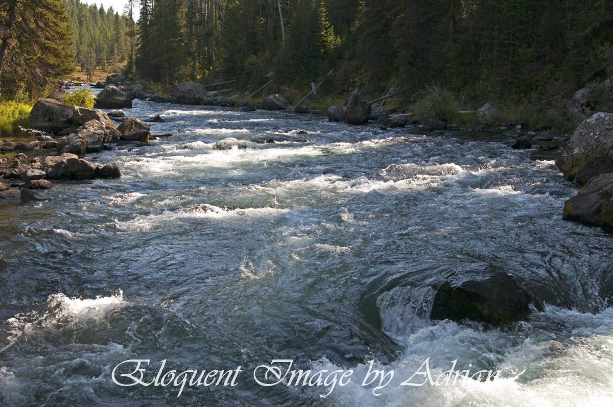 Coffeepot Falls (ID)