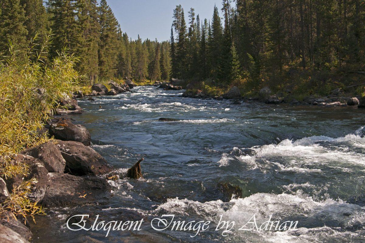 Coffeepot Falls (ID)