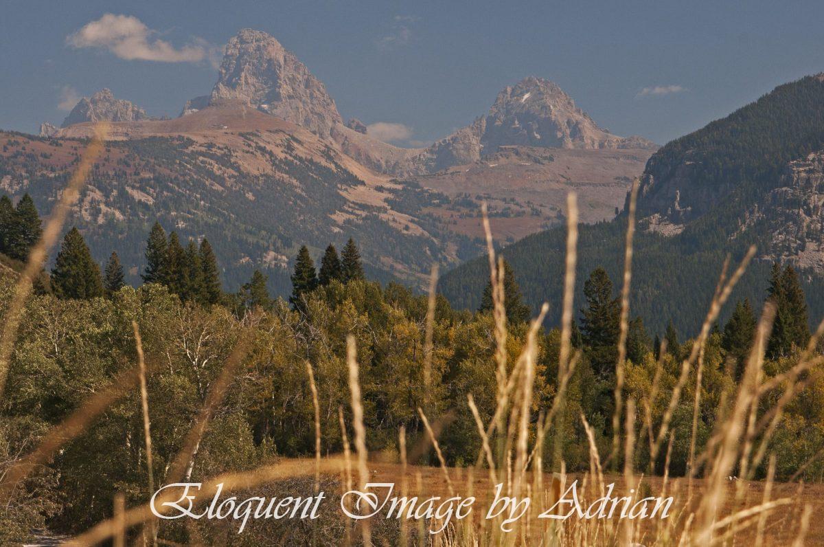 Tetons from Idaho