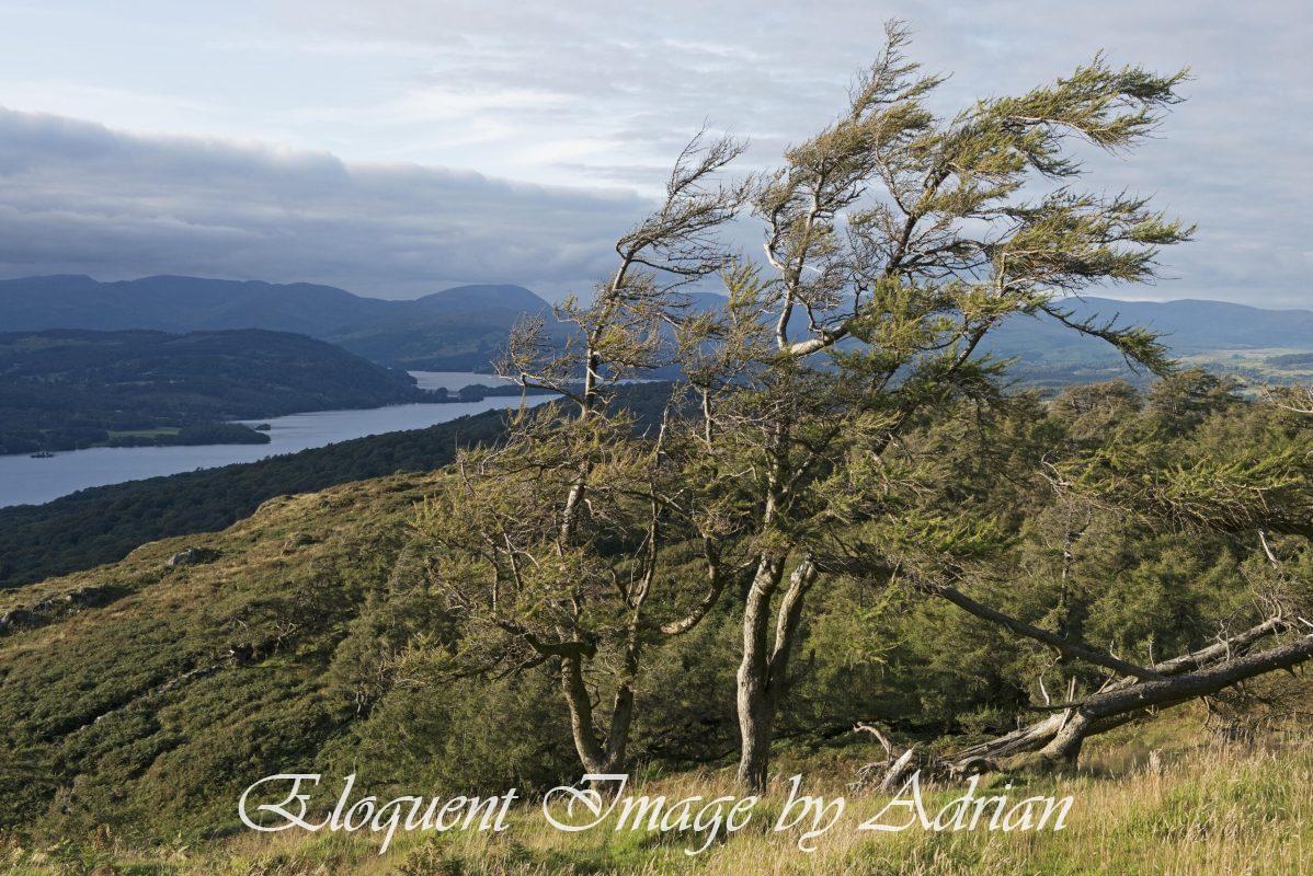 Gummer’s How – Lake District (UK)