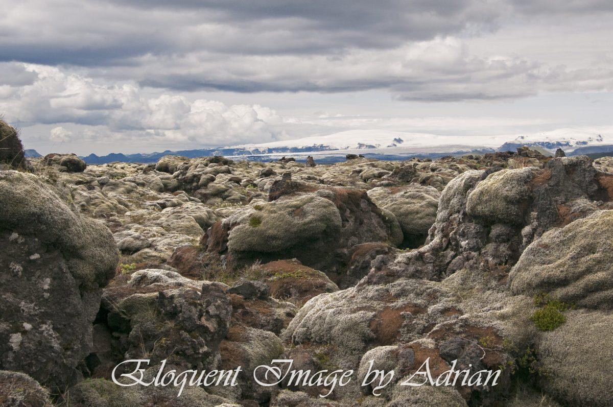Icelandic Lava Fields