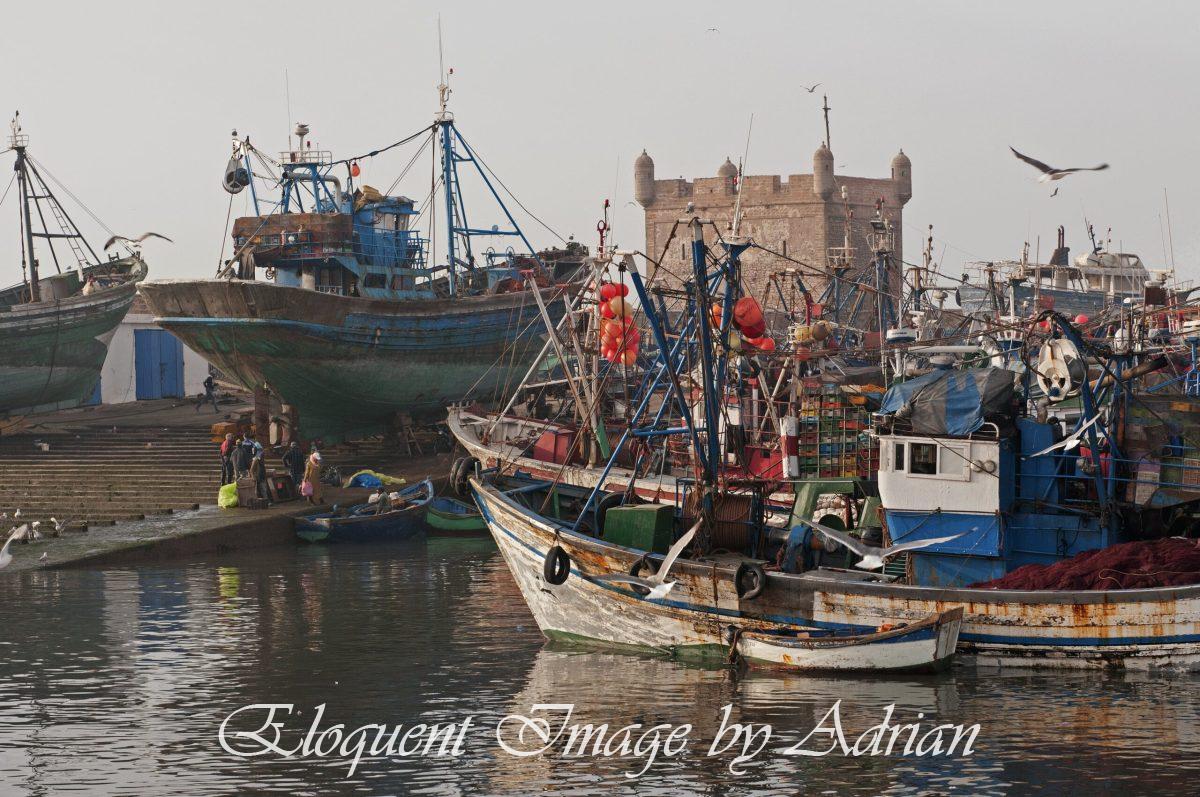 Essaouira (Morocco)