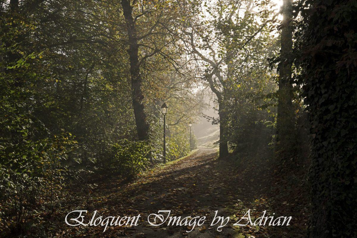 Schloss Freudenfels (Switzerland)