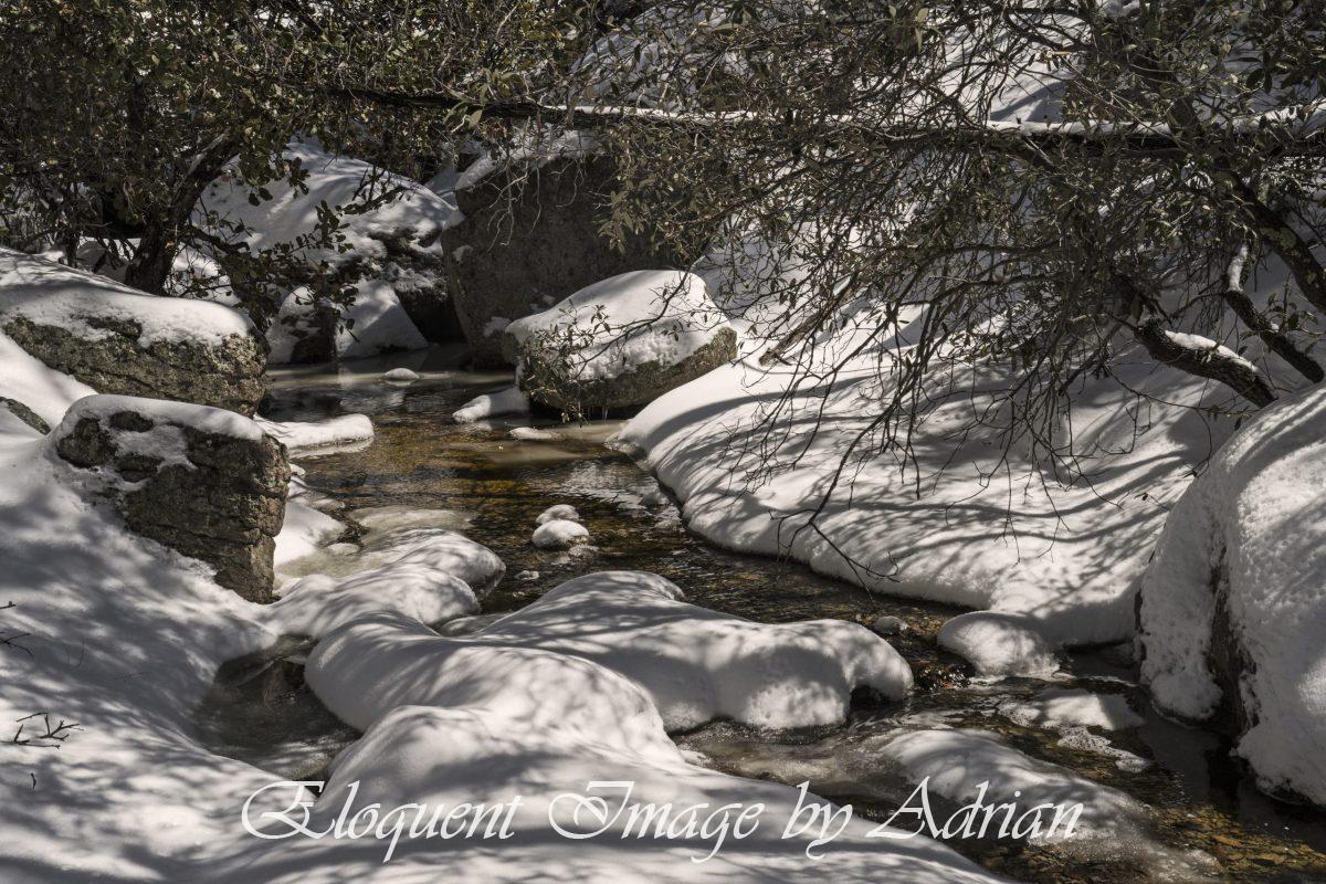 Heart of Rocks Loop – Chiricahua National Monument (AZ)