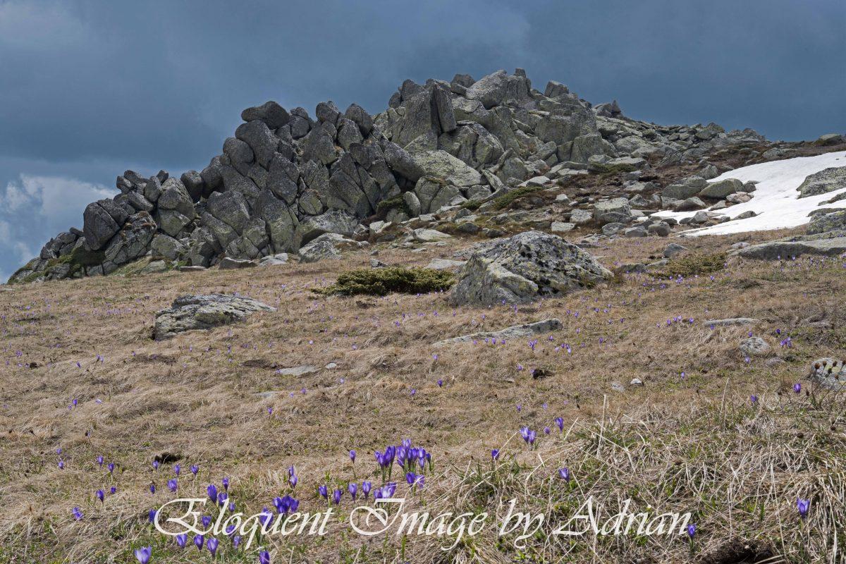 Mount Vitosha (Bulgaria)