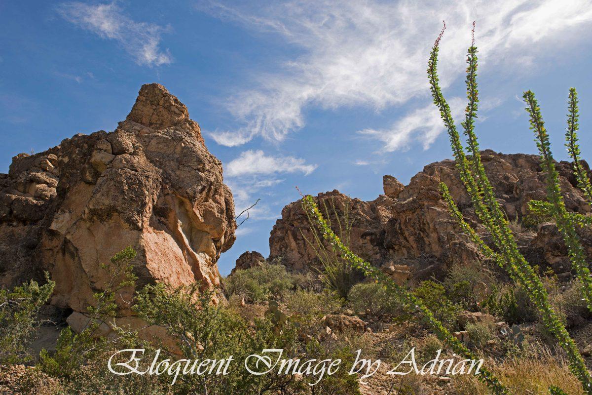 The Chimneys – Big Bend (TX)