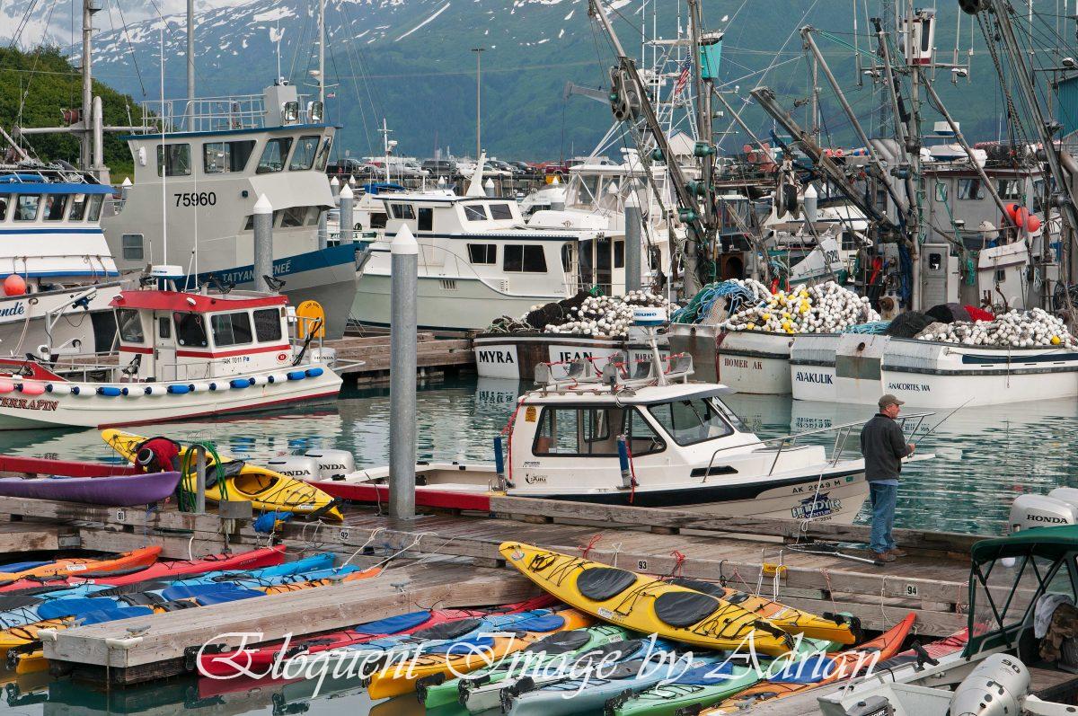 Valdez Harbour (AK)